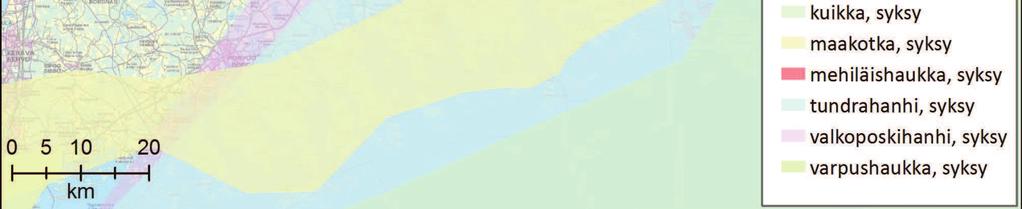Syysmuuton yleiskuva vuonna 2017 (havaitut parvet) on esitetty kuvassa 16. Kuva esittää em.