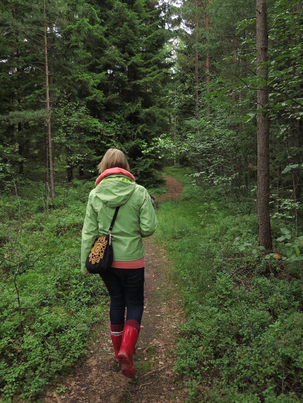 LUONTOPOLUN TEHTÄVÄT Saaristomuseon puhelinnumero: 043 825 2641 Luontopolku on noin kahden ja puolen kilometrin mittainen ja melko helppokulkuinen metsäpolku.