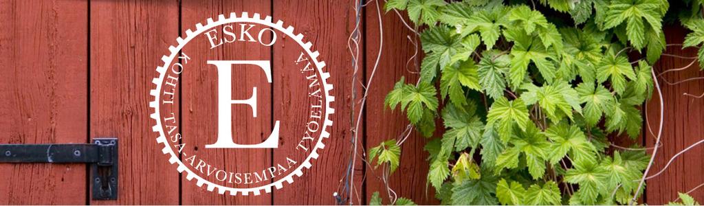 ESKO - Kohti tasa-arvoisempaa työelämää Esko -hanke alkoi syyskuussa 2018 ja se toteutetaan yhdessä IntoPajojen, Laptuote-säätiön ja TyönVuoksen kanssa.
