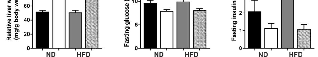 Results 59 Figure 10. Liver weight, fasting serum glucose and insulin concentration of Hsd17b1-LacZ/Neo males.