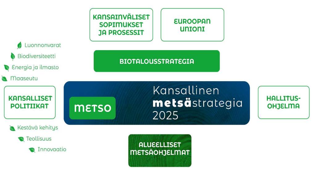 Kansallinen metsästrategia määrittelee metsäpolitiikan