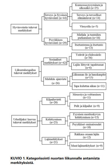 Nuorten urheilijoiden suhde liikuntaan Liikunta &