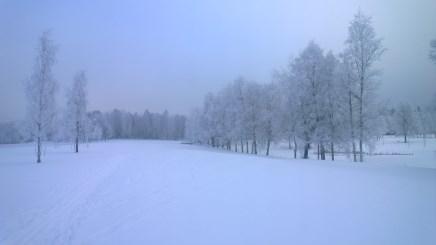 Liityntälatuvaihtoehdot Toimelankadun kohdalla Yleiskaava 2011 ja asemakaava (uusi tulossa