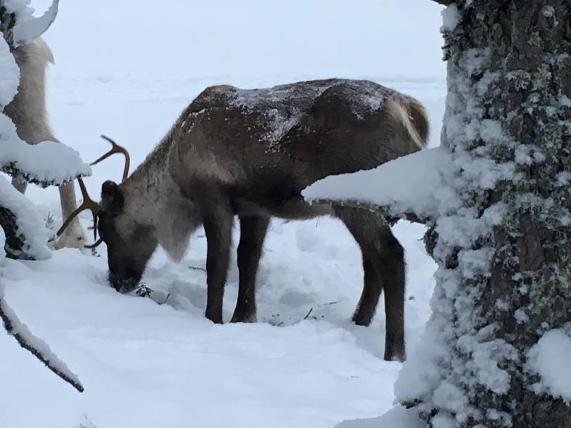 Miksi paikallista tietoa kerättiin?