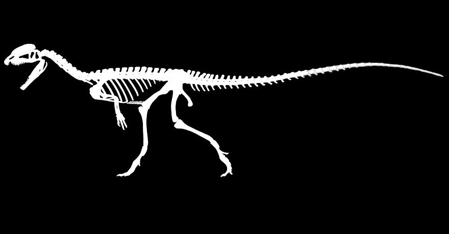 Ryhdy paleontologiksi Tavoite: Tehtävän tavoitteena on tutustua luovalla tavalla paleontologin työhön ja harjoitella parin/ ryhmän kanssa toimimista.