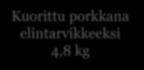 Porkkanamehu 0,6 kg Saippuan valmistus 1-luokan porkkana