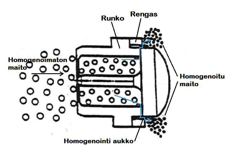 Maitoalan laitoksen toiminnan aloittaminen Osa 6, Sanojen seliykset Entsyymit Entsyymit ovat proteiineja, jotka voivat käynnistää tietyn biokemiallisen reaktion.