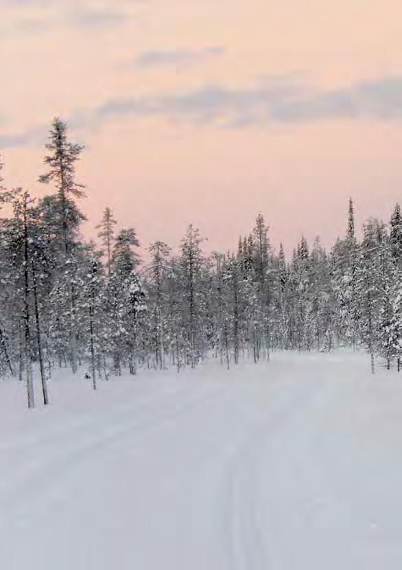 Kakkosten sukuyhdistys Hallitus Eero Kakkonen, puheenjohtaja Hirvirinne 2 A 2, 40520 Jyväskylä puhelin 0400 679328 eero.kakkonen@elisanet.fi Kyösti Kakkonen Mulonniementie 190, 80330 Reijola kyosti.