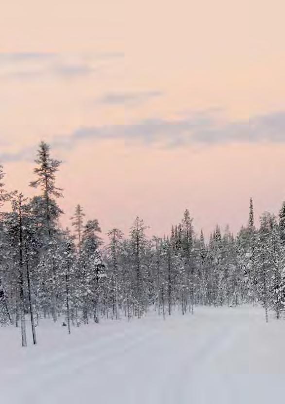 Hyvät sukulaiset Vuosi sitten kirjoitin kuluneesta viileästä, sateisesta ja tuulisesta kesästä. No mennyt kesä oli sitten taas kuuma ja kuiva. Kuivasta säästä kärsivät jälleen pahiten maanviljelijät.