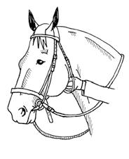 Suitsia laitettaessa on huolehdittava, ettei hevonen pääse karkaamaan siinä vaiheessa, kun riimu otetaan pois. Tämä voidaan estää laittamalla riimu kaulalle suitsimisen ajaksi.