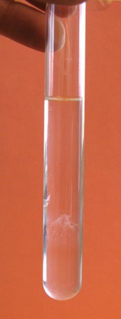 pieni läpinäkyvä lasipurkki - (tikku, esim. coctail-tikku) - (jääastia, ei välttämätön, mutta DNA:n pitäisi tulla paremmin esille, jos kaikki liuokset ovat työn suorittamisen ajan kylmässä).