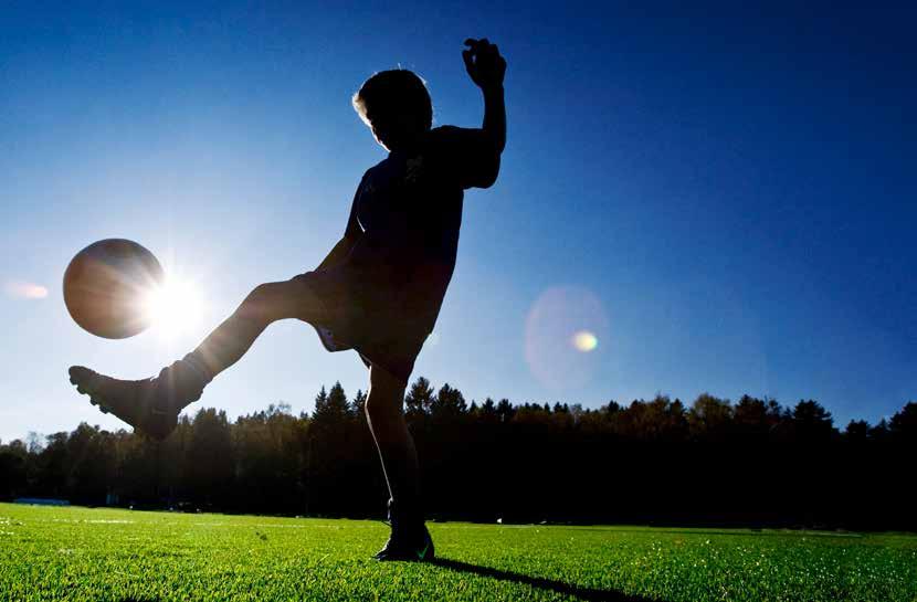 SALTEX BIOFILL AINOA LAATUAAN MAAILMASSA - YMPÄRISTÖYSTÄVÄLLINEN TÄYTTÖAINE!