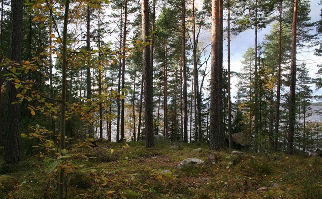 nro 036 A-Insinöörit Suunnittelu Oy Tampereen 3.10.