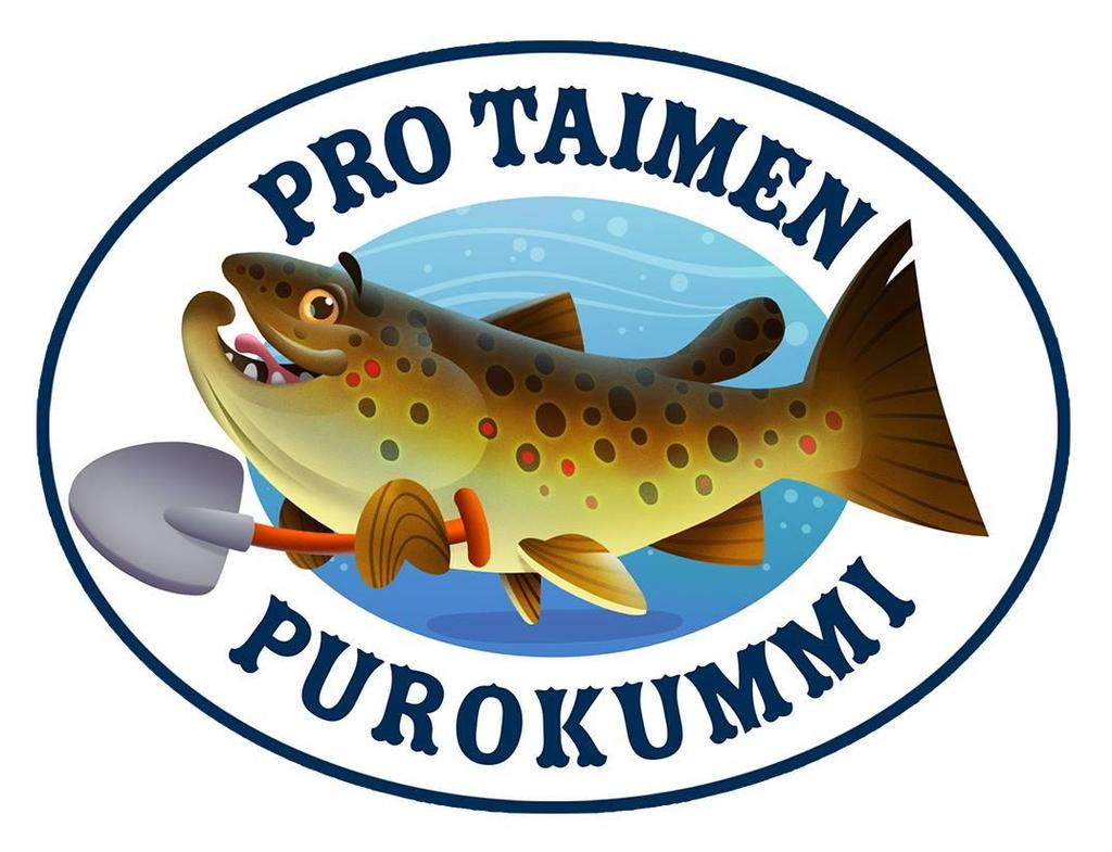 Purokummit Pro Taimen Halutaan innostaa virtavesien ja taimenkantojen seurantaa sekä kartoittamiseen Suomessa on 120 000 km purovesiä, joista pääosin tiedetään äärimmäisen vähän Seuranta- ja