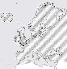 Taimenen elämä: strategioiden monimuotoisuus - Sea trout are larger - Old