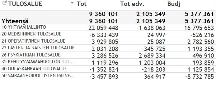 Tilikauden yli-/alijäämä tulosalueittain