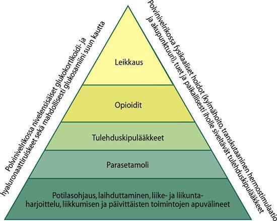 Nivelrikon hoidon