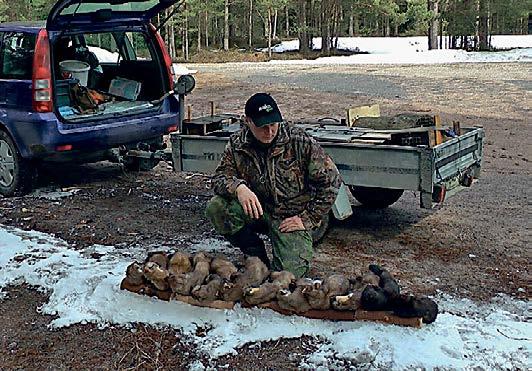 När jag minns hur det var från 50-talet till i dag i Tvärminne området, så vist har det ändrat till det sämre.