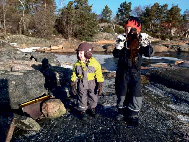 På våren då fåglarna anländer till våra vatten fins de gott om båda könen men mitt på sommaren är det ganska tomt, vad kan detta bero på?