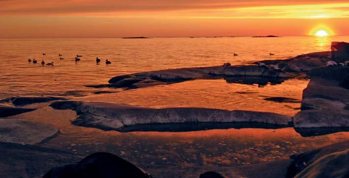 Finlands jägarförbunds Nylands distrikts uppgift är att forma, förvalta och föra vårt lands uråldriga tradition kring jakt vidare, så att de lämpar sig till dagens värld.