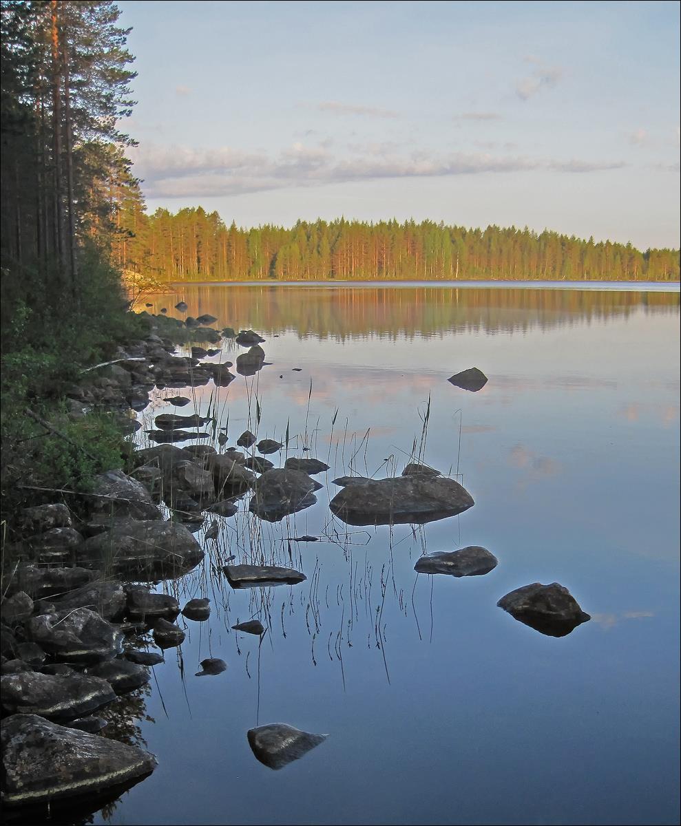 Luonto- ja linnustoselvitys 2016 Lieksan