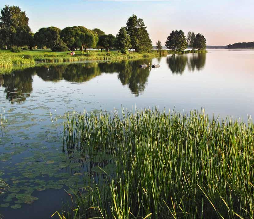 3 Ainutlaatuinen Joutjärven ranta Rakennamme rauhalliselle paikalle, suojellun paloaseman ja suositun uimarannan viereen uusia, tyylikkäitä terassitaloja.