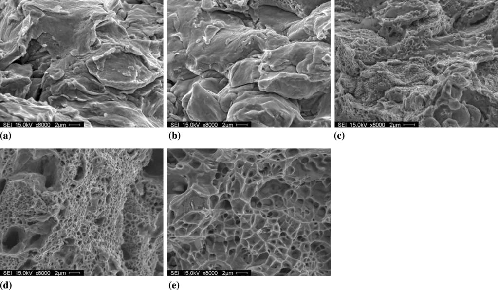 Fig. 14 SEM micrographs at the fracture surface of coatings produced with N 2 as process gas: (a) as-sprayed; (b) heat treated 400 C; (c) heat treated 800 C; (d) heat treated 1000 C; and (e) heat