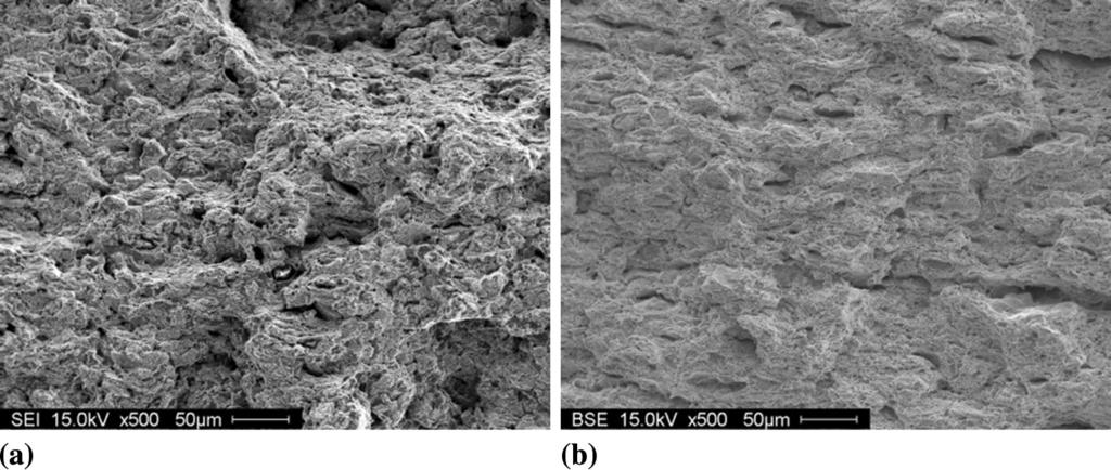 Fig. 16 SEM micrographs at the fracture surface of coatings produced with (a) N 2 and (b) He as process gas and heat treated at 1000 C The N 2 -sprayed coating generally experienced an increase in