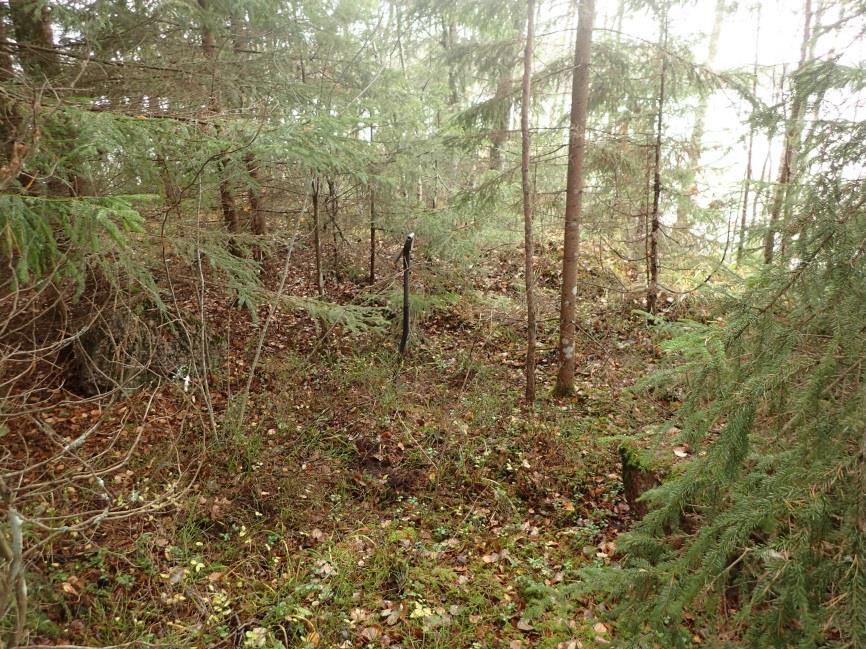 kuvattu