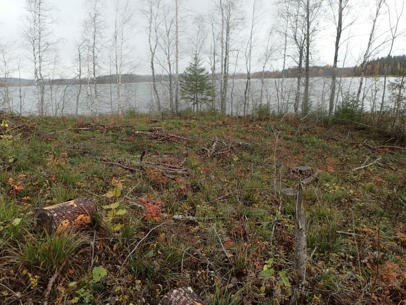 12 2 LAPPEENRANTA PIUNIEMI 2 Mjtunnus: Status: Ajoitus: Laji: kiinteä muinaisjäännös (SM) kivikautinen asuinpaikka Koordin: N: 6763 021 E: 564 735 Z: 60 P: 6765 859 I: 3564 931 Tutkijat: Sijainti: