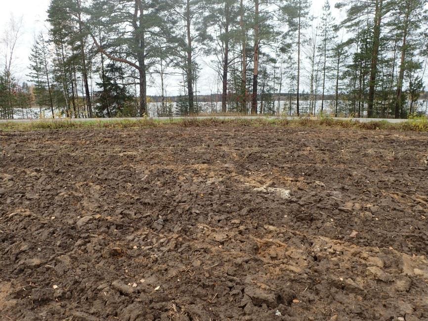 eteläpuolelta