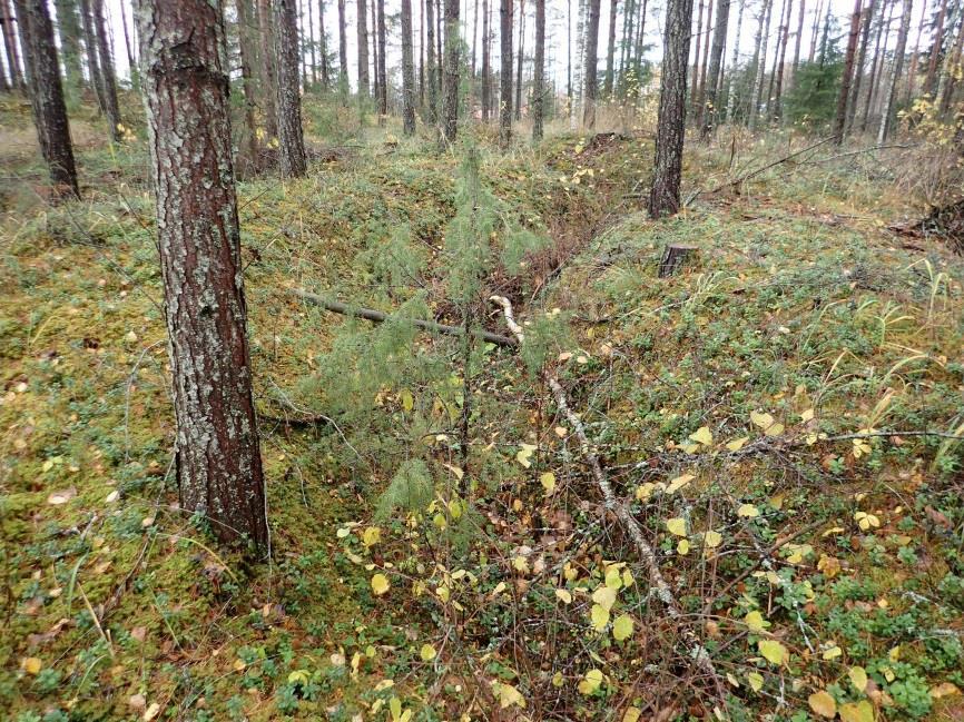 18 5 LAPPEENRANTA RANTALA 2 Mjtunnus: 1000019370 Status: muu kulttuuriperintökohde (S) Ajoitus: historiallinen Laji: varustus: 2.