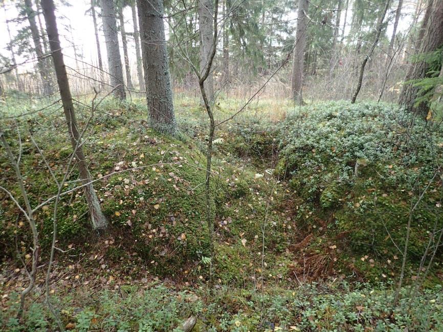 Hanhijärven pohjoispään itäpuolella, Hujainniemen kärjen alueella Huomiot: Niemen kärjessä on