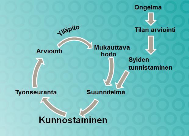 2019 Käytännön vinkkejä