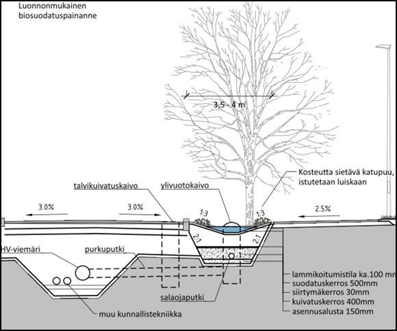 7/8 Kuva 9. Tyyppikuva luonnonmukaisesta biosuodatuspainanteesta (Sitowise).