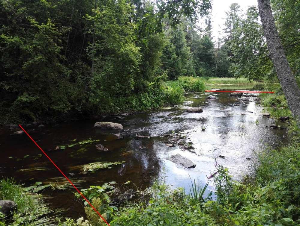 13 Kuva 9. Vääräkosken koeala (kuva: Kimmo Puosi) 3.4.2 Vääräkosken Vääräkosken koostui kuudesta lajista (Taulukko 6). Runsain laji oli kivennuoliainen, jonka osuus yksilömäärästä oli 54,8 %.