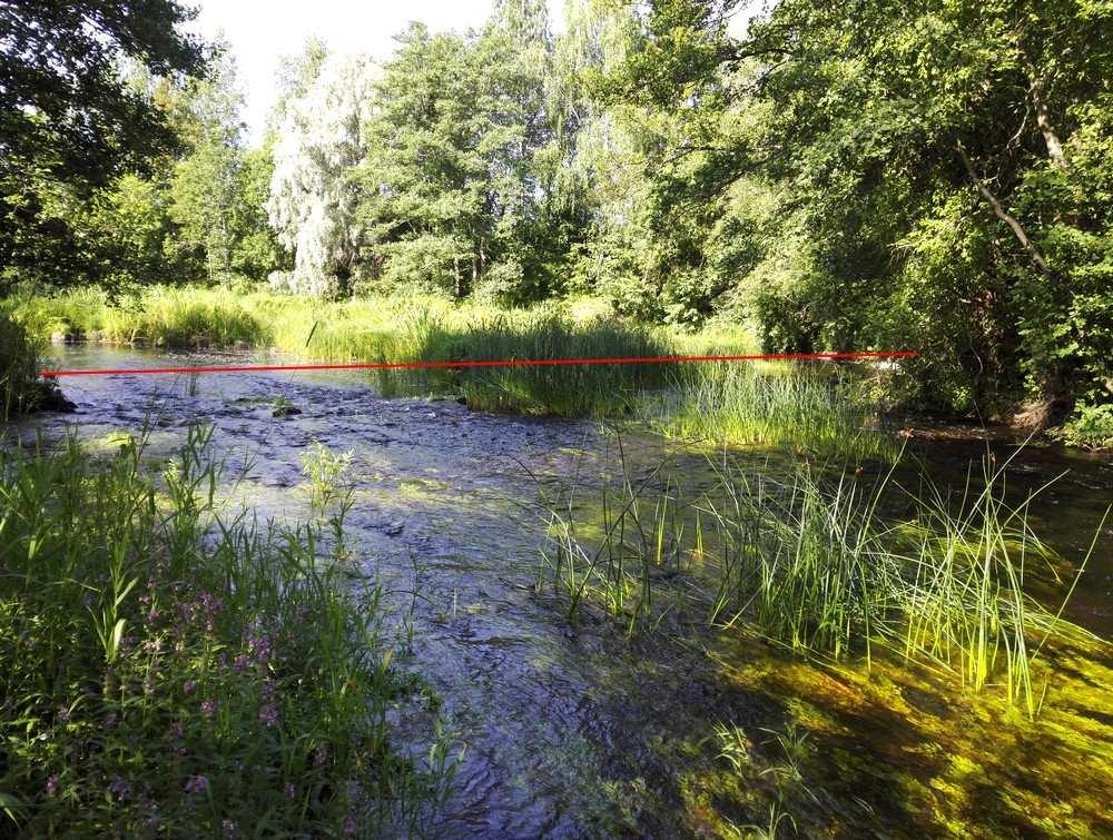 31 Kuva 28. Solakosken koeala (kuva: Kimmo Puosi) 3.9.2 Solakosken Solakosken koostui neljästä lajista (Taulukko 16). Runsain laji oli kivisimppu, jonka osuus yksilömäärästä 46,9 %.