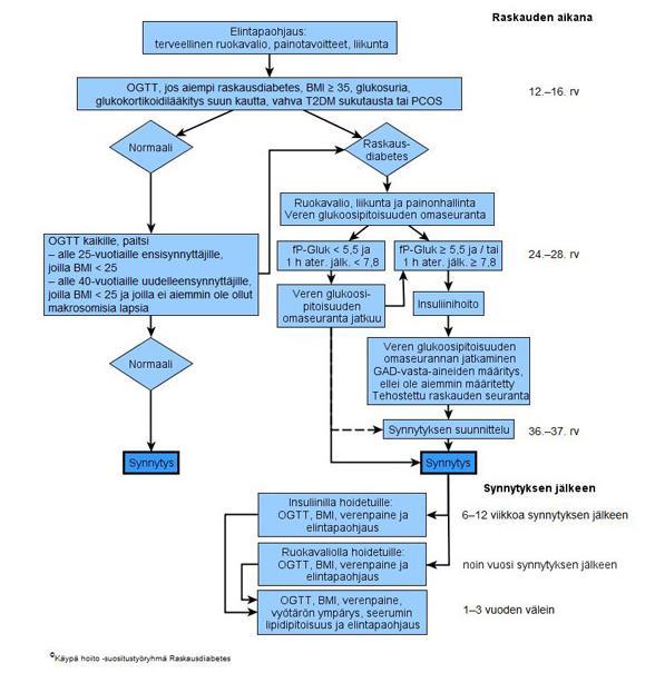 Raskausdiabetes = RADI = gestaatiodiabetes = GDM = ensimmäisen kerran raskauden aikana todettu