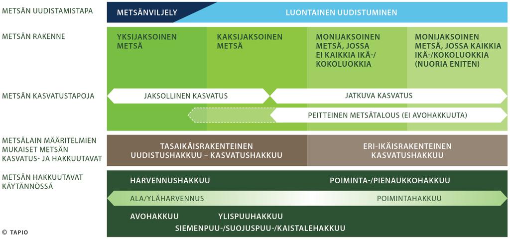 Metsänkasvatuksen