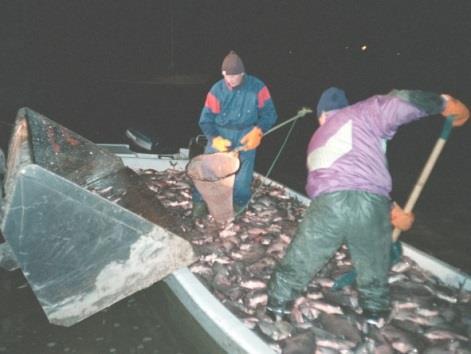 mukana poistuva fosfori on aina lopullisesti pois järvestä Tukee ravinteiden kierron,
