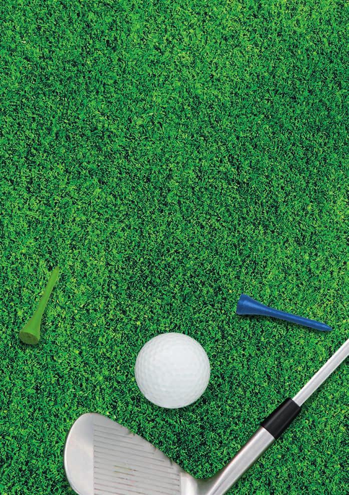 VI H REÄ HARJATTULA GOLF KAKS
