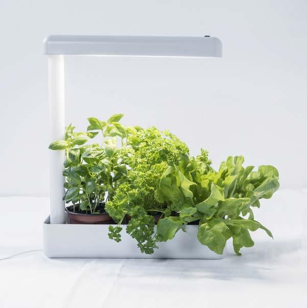 4000 K VÄXTARMATUR Populära bordsarmaturen och växtbelysningsarmaturen Herby LED kan användas både som ljuskälla för örter, groddar och krukväxter men även som vanlig bordslampa.