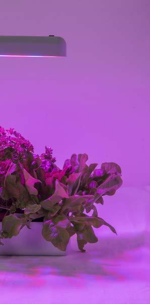 Ljusflöde 800 lm. PLANT LUMINAIRE Ensure the well-being of your herbs by giving them the blue and red light they need for photosynthesis without any harmful UV radiation.