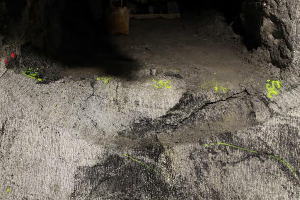 77 3.5 Visual observations in tunnels During 2018, the number of visual observations was very small comparatively to previous years (Figure 3-57).