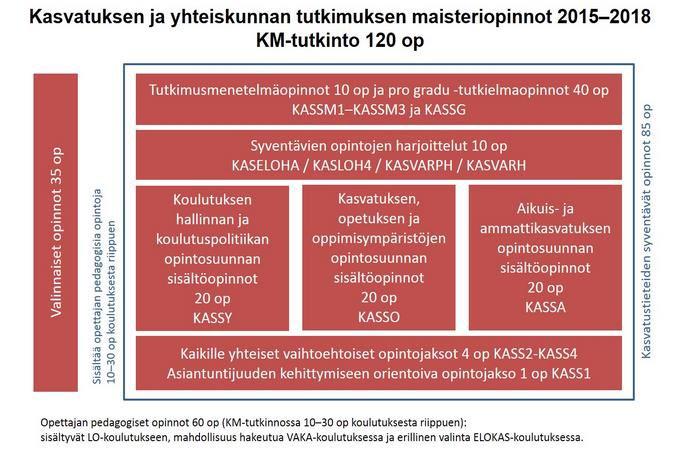 SELVITYS OPETTAJANKOULUTUKSEN RAKENTEESTA YLIOPISTOISSA Kuvio 2.5.