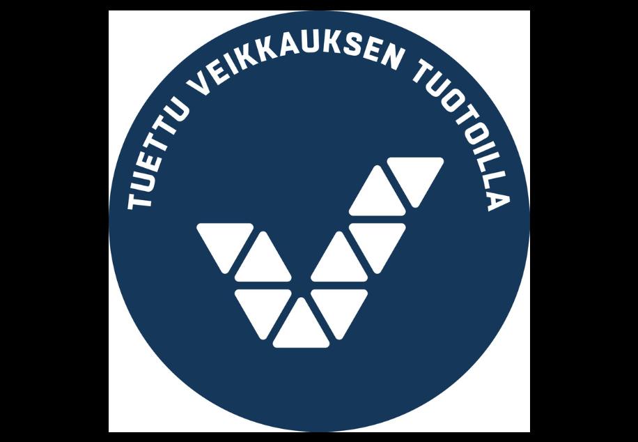 Vammaispalvelulain keskeiset