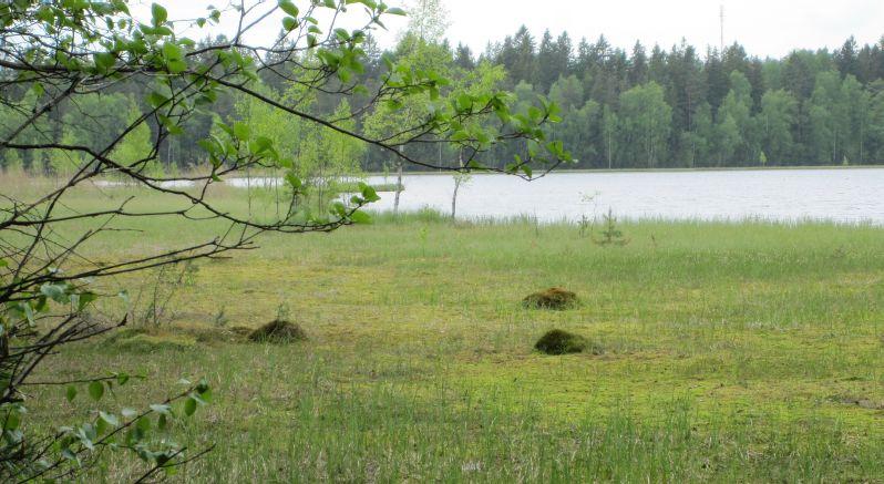 Näkymä kaava-alueen keskeltä