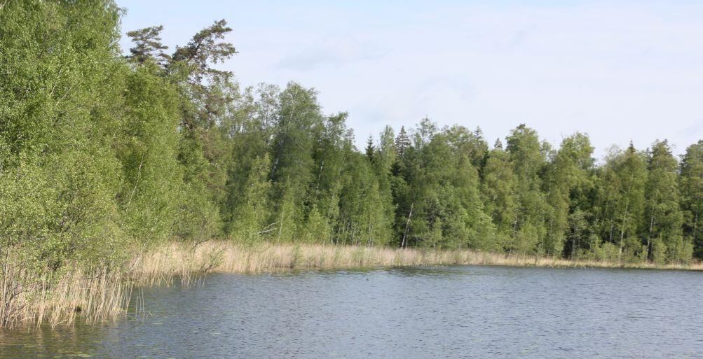 5. Asemakaavan kuvaus - Redogörelse för detaljplanen 5.1 Kaavan rakenne Asemakaavan luonnos on laadi u alueelle niin, e ä Länsi- Taasjärven alue a laajennetaan luontevas.