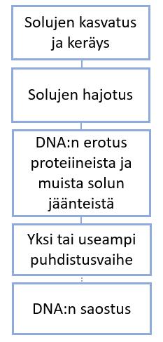 3 Kuva 1. DNA-eristyksen päävaiheet. 2.