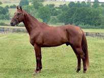 EUROJA LOVE YOU e. Coktail Jet Guilty Of Love e. And Arifant 1.10,2 1.416.
